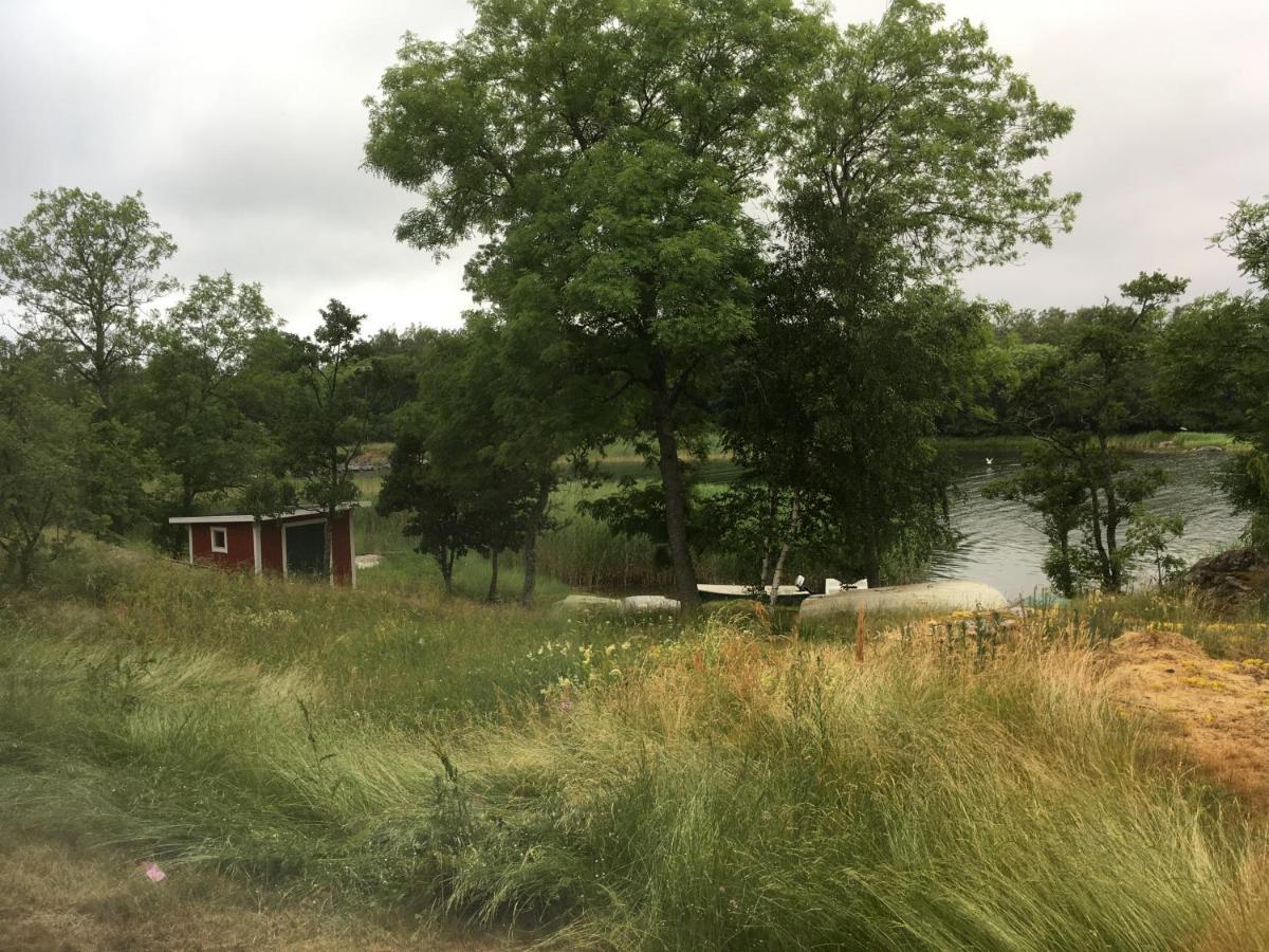 Hotell Gullvivan Brando Exteriér fotografie