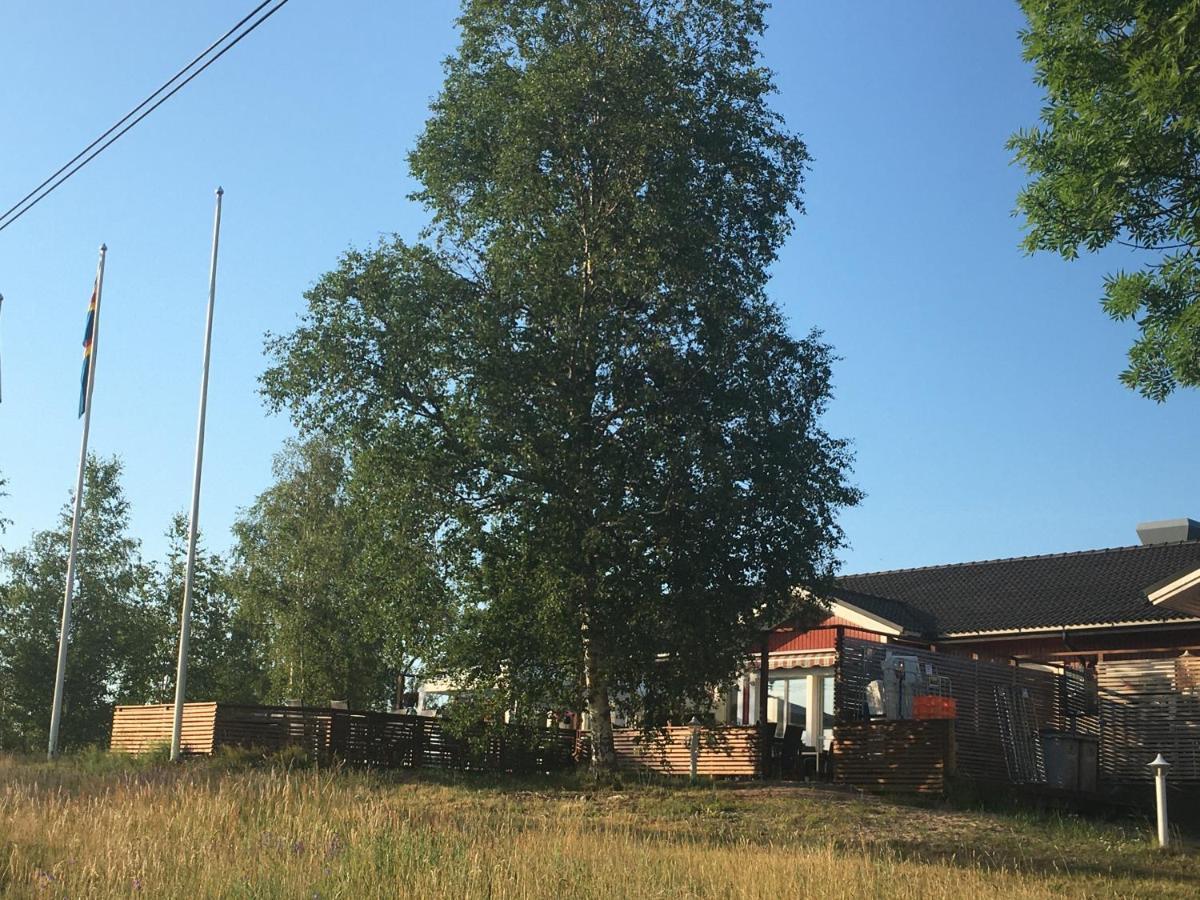 Hotell Gullvivan Brando Exteriér fotografie